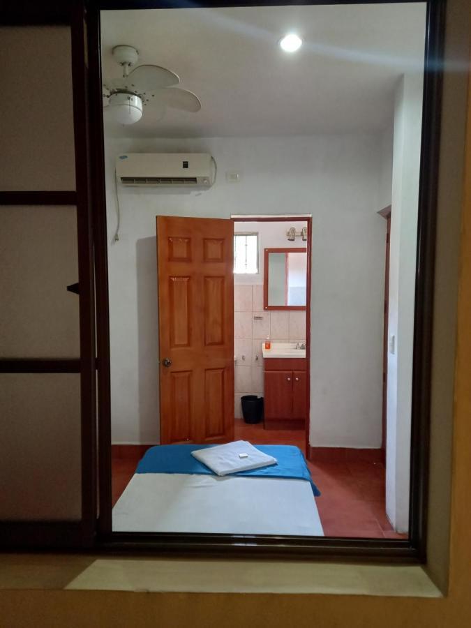 Hostal Don Gato Granada Esterno foto